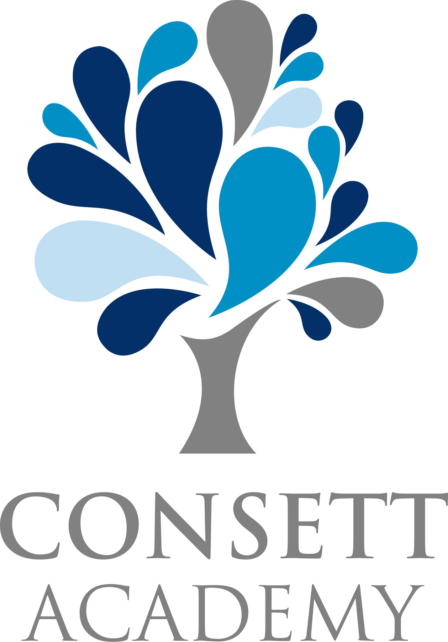Consett Academy校徽