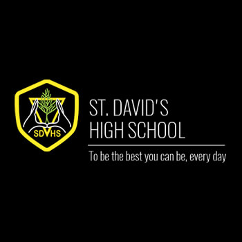 St David's High School, Saltney校徽
