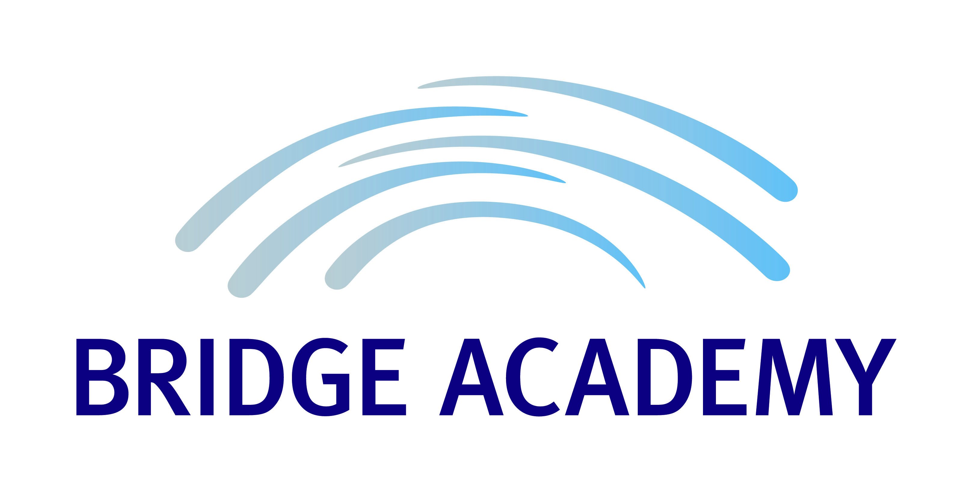 Bridge Academy校徽