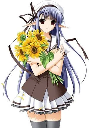 ネリネ