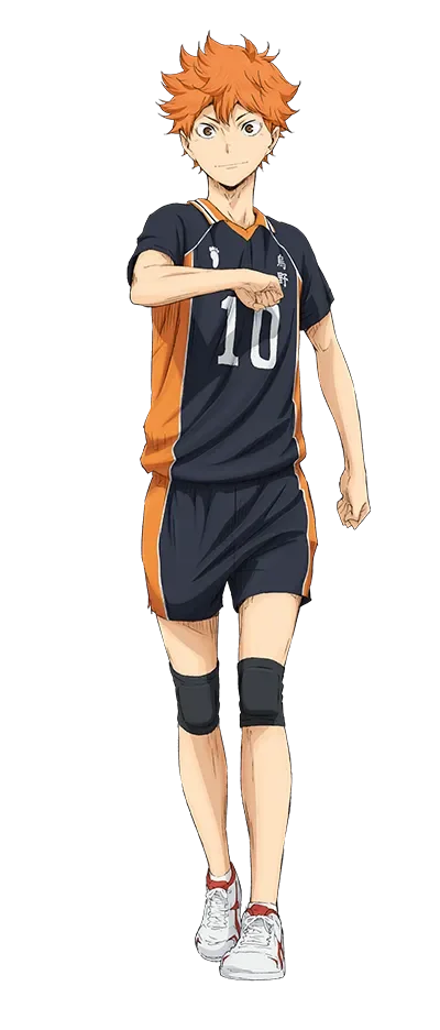 烏野高校 バレー ユニフォーム